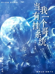 我有一个挂哥系统