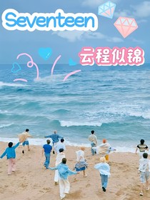 SEVENTEEN云程似錦