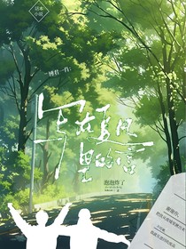 博君一肖：寫在夏日里的信
