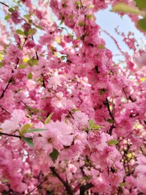 終極改編版臨時(shí)2本