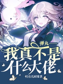 弹丸——我真不是什么大佬