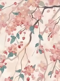 小说（合）