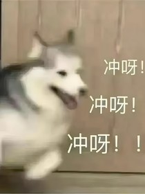 作者大大的减肥变美之路