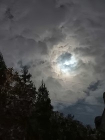 综影视：杙秫
