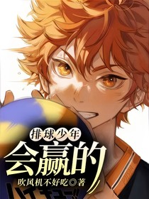 排球少年：会赢的