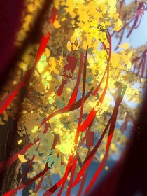 与你并配