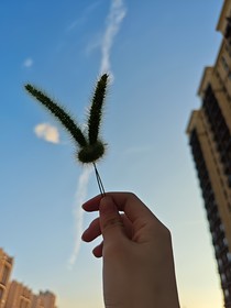 尋找真像