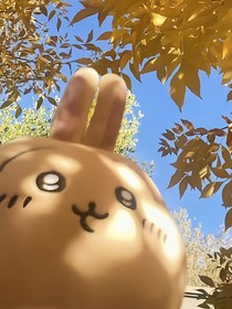 时邮