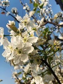 重逢后夫妻一條心
