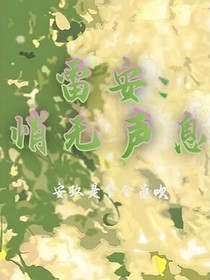 雷安：悄無聲息