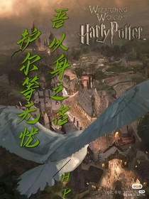 HP：吾以身之名，護(hù)爾等無憂
