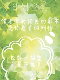 计划重制