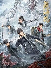 藏海花之无忧无虑