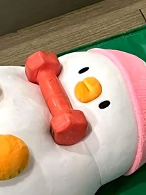 坑了哈哈