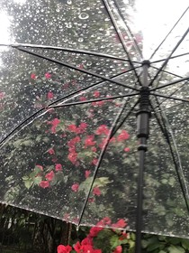 春天的那場雨