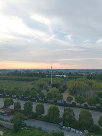皖皖變小記