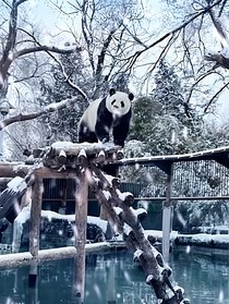 穿成趙默笙