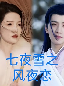 七夜雪之风夜恋