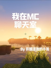 我在MC聊天室