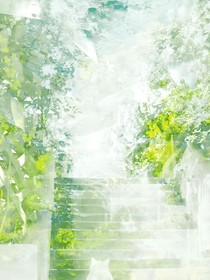 岁月流转，樱花依旧