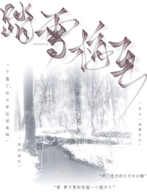 踏雪梅至