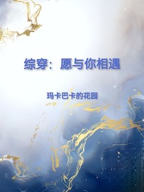 综穿：愿与你相遇