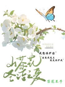 山茶花圣洁之爱
