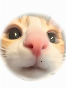 有你我便无畏