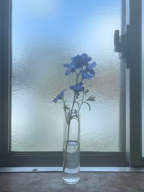 铁甲威虫：芯愿