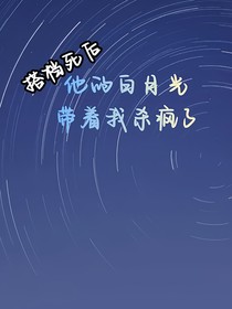 搭档死后，他的白月光带我杀疯了