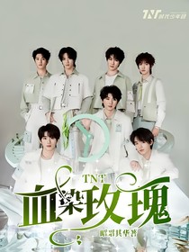 TNT血染玫瑰