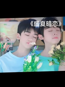 TF家族三代：盛夏