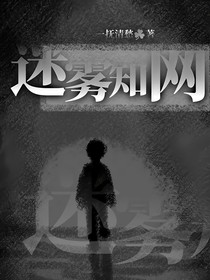 迷雾知网