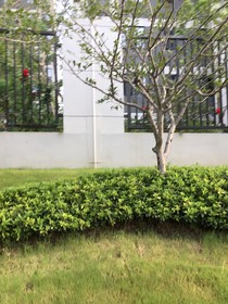 历喵：童年