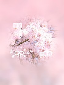 随笔之栀鸢著