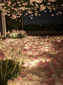北海花