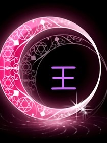 国民老公大人王小龙