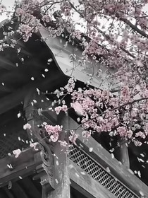 君心思诗集