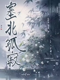 塞北孤寂