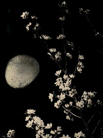 斗6大陆：影月之影