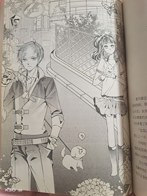 小仙子文鯊鯊比亞圖32