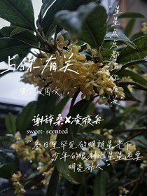 谢……与你有关……凌