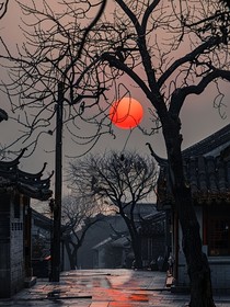 你還不是正常人類？