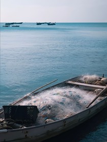 捕鱼，吃鱼