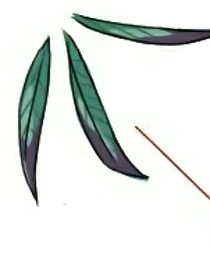 后室谁能有我倒霉番外篇