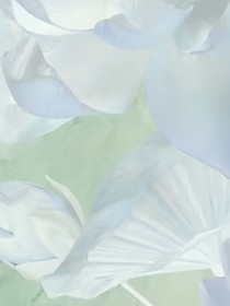 叶罗丽：生死渡