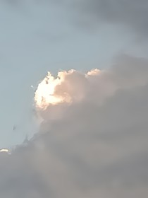 游弋的歌