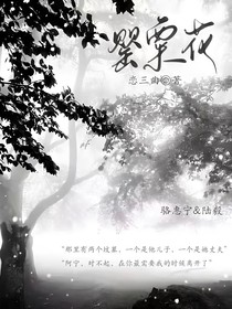 罂粟花1