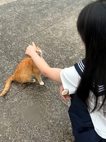 他眼眸里的春