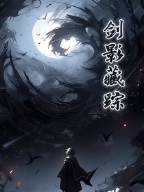 剑影藏踪